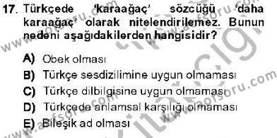 Genel Dilbilim 1 Dersi 2013 - 2014 Yılı (Vize) Ara Sınavı 17. Soru