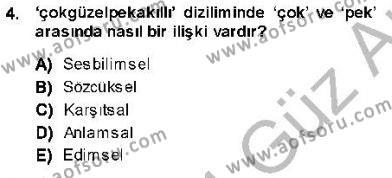 Genel Dilbilim 1 Dersi 2013 - 2014 Yılı (Vize) Ara Sınavı 4. Soru