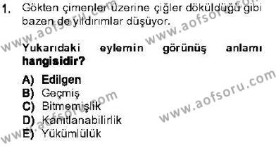 Genel Dilbilim 1 Dersi 2013 - 2014 Yılı (Final) Dönem Sonu Sınavı 1. Soru