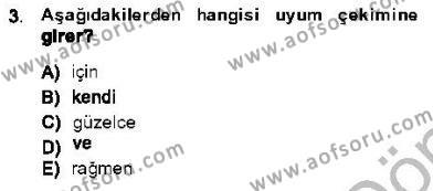 Genel Dilbilim 1 Dersi 2013 - 2014 Yılı (Final) Dönem Sonu Sınavı 3. Soru