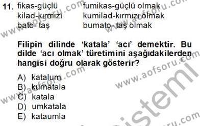 Genel Dilbilim 1 Dersi 2014 - 2015 Yılı (Vize) Ara Sınavı 11. Soru