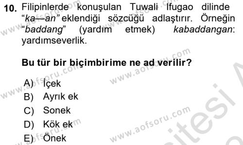 Genel Dilbilim 1 Dersi 2023 - 2024 Yılı (Vize) Ara Sınavı 10. Soru