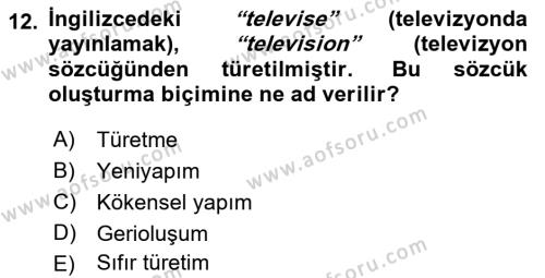 Genel Dilbilim 1 Dersi 2023 - 2024 Yılı (Vize) Ara Sınavı 12. Soru