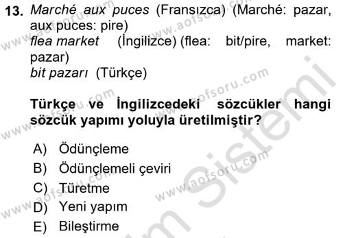 Genel Dilbilim 1 Dersi 2023 - 2024 Yılı (Vize) Ara Sınavı 13. Soru