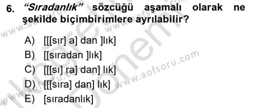 Genel Dilbilim 1 Dersi 2023 - 2024 Yılı (Vize) Ara Sınavı 6. Soru