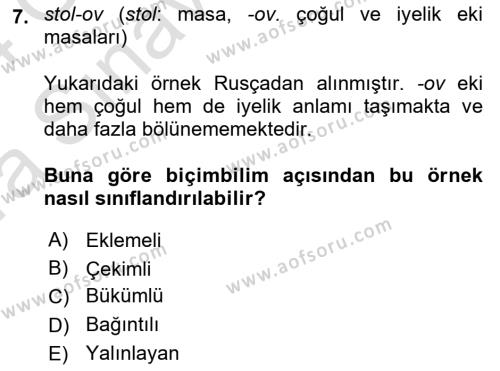 Genel Dilbilim 1 Dersi 2023 - 2024 Yılı (Vize) Ara Sınavı 7. Soru