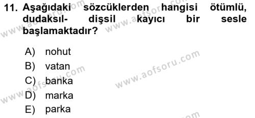 Genel Dilbilim 1 Dersi 2023 - 2024 Yılı (Final) Dönem Sonu Sınavı 11. Soru