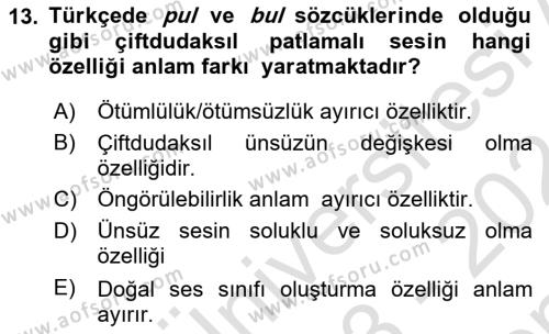 Genel Dilbilim 1 Dersi 2023 - 2024 Yılı (Final) Dönem Sonu Sınavı 13. Soru