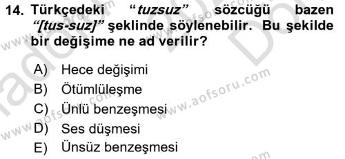 Genel Dilbilim 1 Dersi 2023 - 2024 Yılı (Final) Dönem Sonu Sınavı 14. Soru