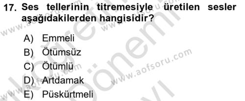 Genel Dilbilim 1 Dersi 2023 - 2024 Yılı (Final) Dönem Sonu Sınavı 17. Soru