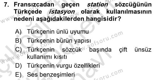 Genel Dilbilim 1 Dersi 2023 - 2024 Yılı (Final) Dönem Sonu Sınavı 7. Soru