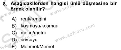 Genel Dilbilim 1 Dersi 2023 - 2024 Yılı (Final) Dönem Sonu Sınavı 8. Soru