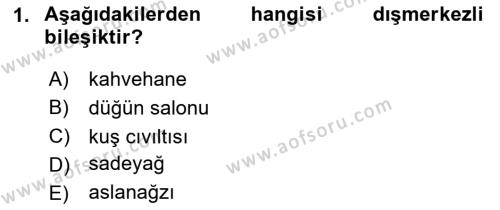 Genel Dilbilim 1 Dersi 2023 - 2024 Yılı Yaz Okulu Sınavı 1. Soru