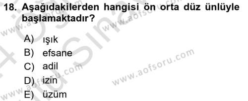 Genel Dilbilim 1 Dersi 2023 - 2024 Yılı Yaz Okulu Sınavı 18. Soru