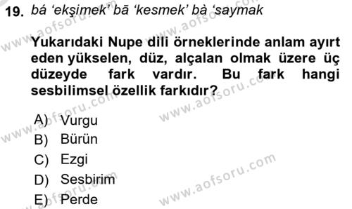 Genel Dilbilim 1 Dersi 2023 - 2024 Yılı Yaz Okulu Sınavı 19. Soru