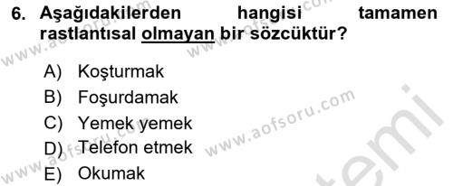 Genel Dilbilim 1 Dersi 2023 - 2024 Yılı Yaz Okulu Sınavı 6. Soru