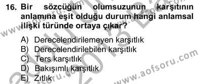 Genel Dilbilim 2 Dersi 2012 - 2013 Yılı (Vize) Ara Sınavı 16. Soru