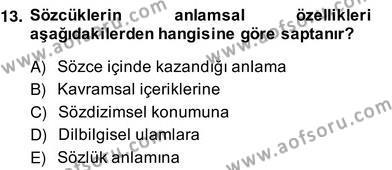 Genel Dilbilim 2 Dersi 2013 - 2014 Yılı (Vize) Ara Sınavı 13. Soru
