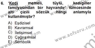 Genel Dilbilim 2 Dersi 2013 - 2014 Yılı Tek Ders Sınavı 6. Soru