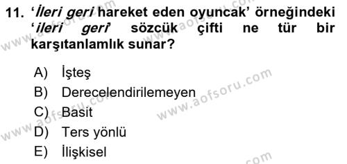 Genel Dilbilim 2 Dersi 2017 - 2018 Yılı (Vize) Ara Sınavı 11. Soru