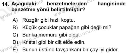 Genel Dilbilim 2 Dersi 2017 - 2018 Yılı (Vize) Ara Sınavı 14. Soru