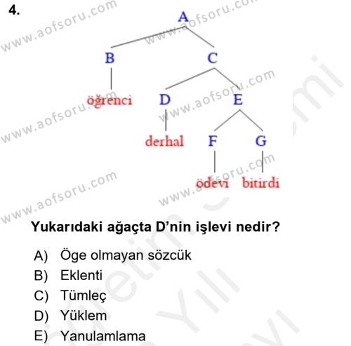 Genel Dilbilim 2 Dersi 2017 - 2018 Yılı (Vize) Ara Sınavı 4. Soru