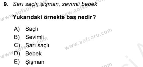 Genel Dilbilim 2 Dersi 2017 - 2018 Yılı (Vize) Ara Sınavı 9. Soru