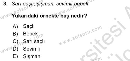 Genel Dilbilim 2 Dersi 2018 - 2019 Yılı 3 Ders Sınavı 3. Soru