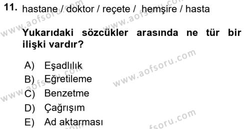 Genel Dilbilim 2 Dersi 2018 - 2019 Yılı (Vize) Ara Sınavı 11. Soru