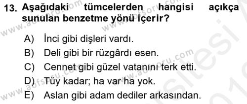 Genel Dilbilim 2 Dersi 2018 - 2019 Yılı (Vize) Ara Sınavı 13. Soru