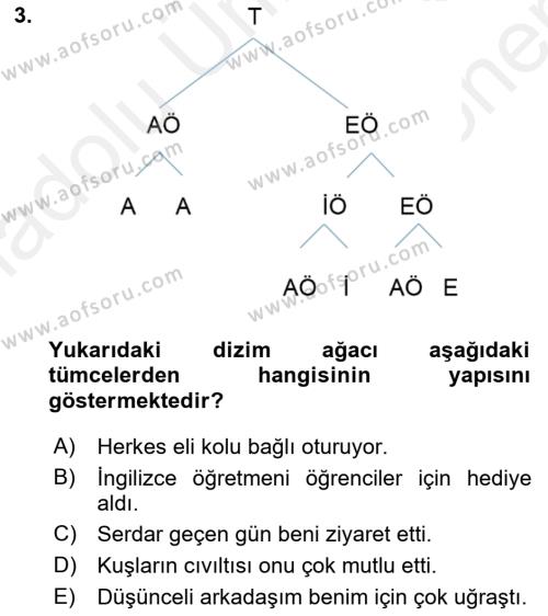 Genel Dilbilim 2 Dersi 2018 - 2019 Yılı (Final) Dönem Sonu Sınavı 3. Soru