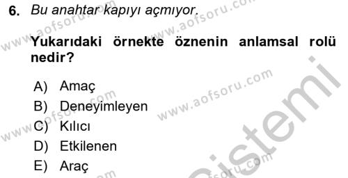 Genel Dilbilim 2 Dersi 2018 - 2019 Yılı Yaz Okulu Sınavı 6. Soru