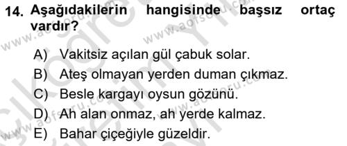 Genel Dilbilim 2 Dersi 2020 - 2021 Yılı Yaz Okulu Sınavı 14. Soru