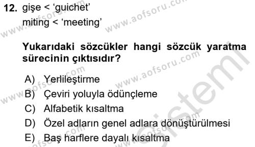 Genel Dilbilim 2 Dersi 2021 - 2022 Yılı (Vize) Ara Sınavı 12. Soru