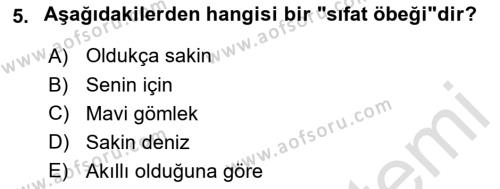 Genel Dilbilim 2 Dersi 2021 - 2022 Yılı (Vize) Ara Sınavı 5. Soru