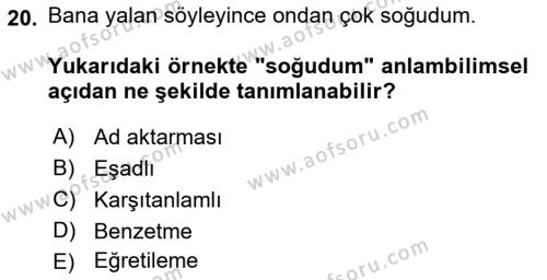 Genel Dilbilim 2 Dersi 2021 - 2022 Yılı Yaz Okulu Sınavı 20. Soru