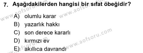 Genel Dilbilim 2 Dersi 2021 - 2022 Yılı Yaz Okulu Sınavı 7. Soru