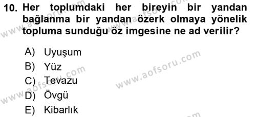 Genel Dilbilim 2 Dersi 2022 - 2023 Yılı Yaz Okulu Sınavı 10. Soru