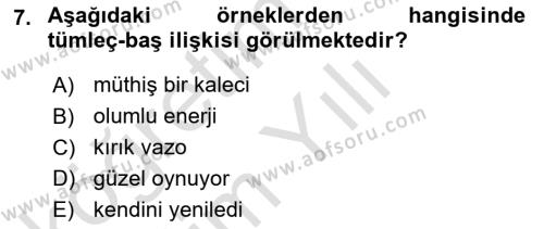 Genel Dilbilim 2 Dersi 2022 - 2023 Yılı Yaz Okulu Sınavı 7. Soru