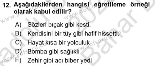 Genel Dilbilim 2 Dersi 2023 - 2024 Yılı (Vize) Ara Sınavı 12. Soru