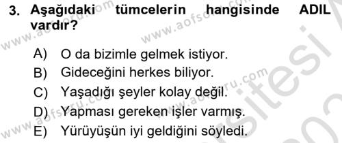 Genel Dilbilim 2 Dersi 2023 - 2024 Yılı (Vize) Ara Sınavı 3. Soru