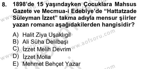 2. Meşrutiyet Dönemi Türk Edebiyatı Dersi 2014 - 2015 Yılı Tek Ders Sınavı 8. Soru