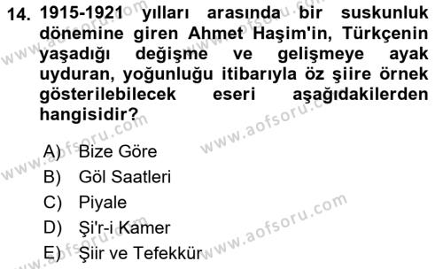 2. Meşrutiyet Dönemi Türk Edebiyatı Dersi 2016 - 2017 Yılı (Vize) Ara Sınavı 14. Soru