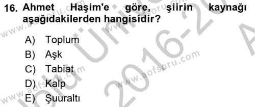 2. Meşrutiyet Dönemi Türk Edebiyatı Dersi 2016 - 2017 Yılı (Vize) Ara Sınavı 16. Soru