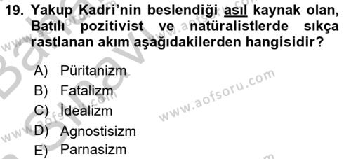 2. Meşrutiyet Dönemi Türk Edebiyatı Dersi 2016 - 2017 Yılı (Vize) Ara Sınavı 19. Soru