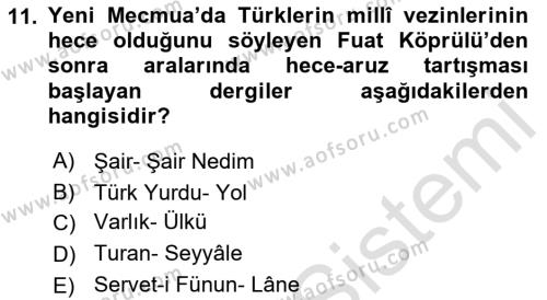 2. Meşrutiyet Dönemi Türk Edebiyatı Dersi 2016 - 2017 Yılı (Final) Dönem Sonu Sınavı 11. Soru