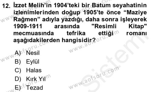 2. Meşrutiyet Dönemi Türk Edebiyatı Dersi 2018 - 2019 Yılı (Vize) Ara Sınavı 12. Soru