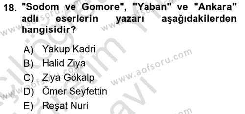 2. Meşrutiyet Dönemi Türk Edebiyatı Dersi 2020 - 2021 Yılı Yaz Okulu Sınavı 18. Soru