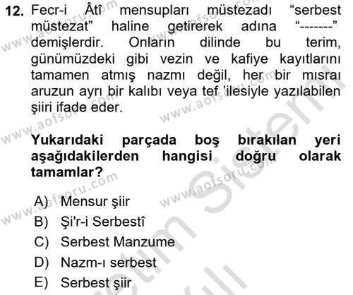 2. Meşrutiyet Dönemi Türk Edebiyatı Dersi 2021 - 2022 Yılı Yaz Okulu Sınavı 12. Soru
