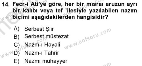 2. Meşrutiyet Dönemi Türk Edebiyatı Dersi 2023 - 2024 Yılı (Vize) Ara Sınavı 14. Soru